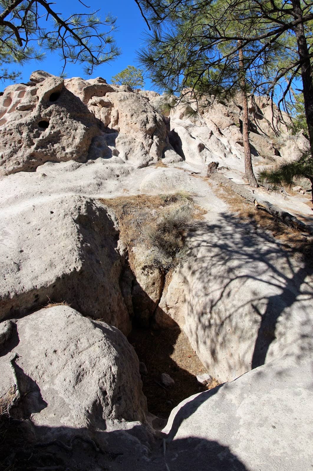 Vertical photo