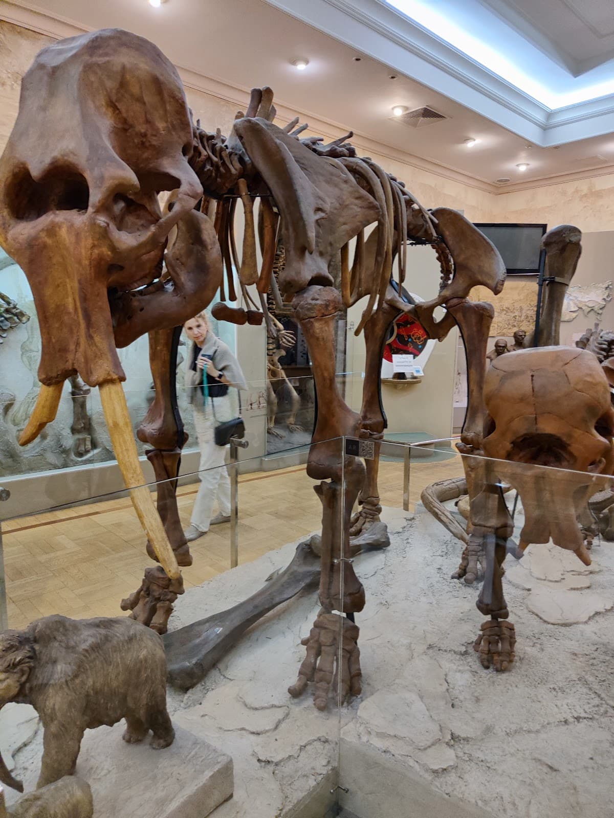 Tatarstan Museum of Natural History - Image 1