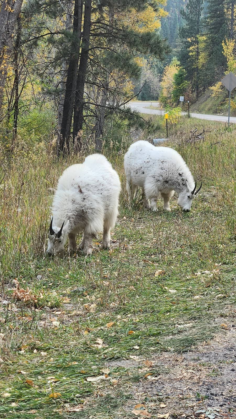 Potential Hiking Spots