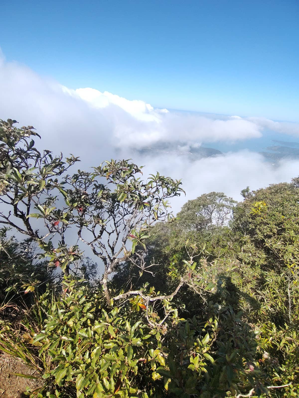 Challenging Ascent