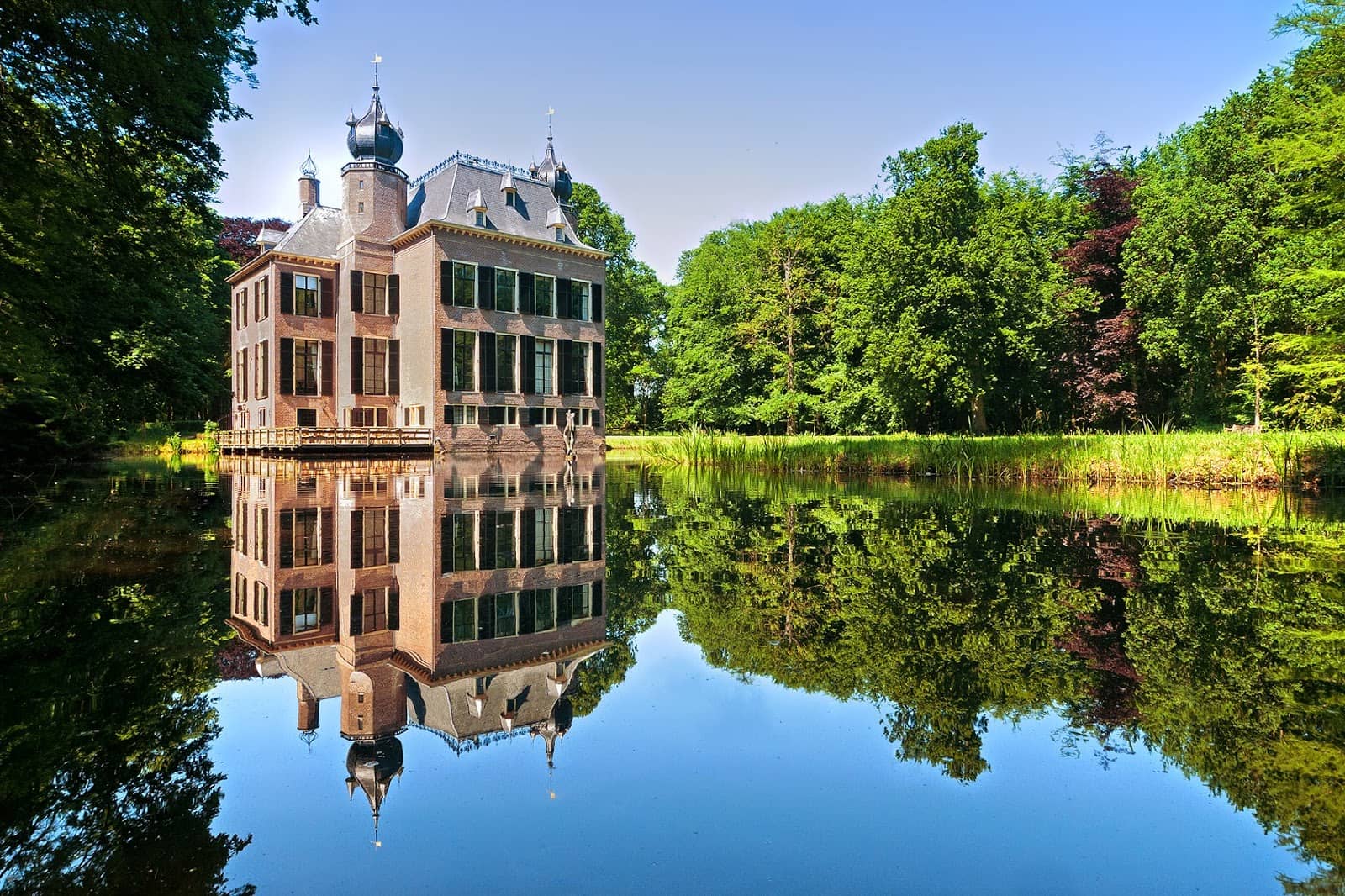 Refined Restaurant Experience