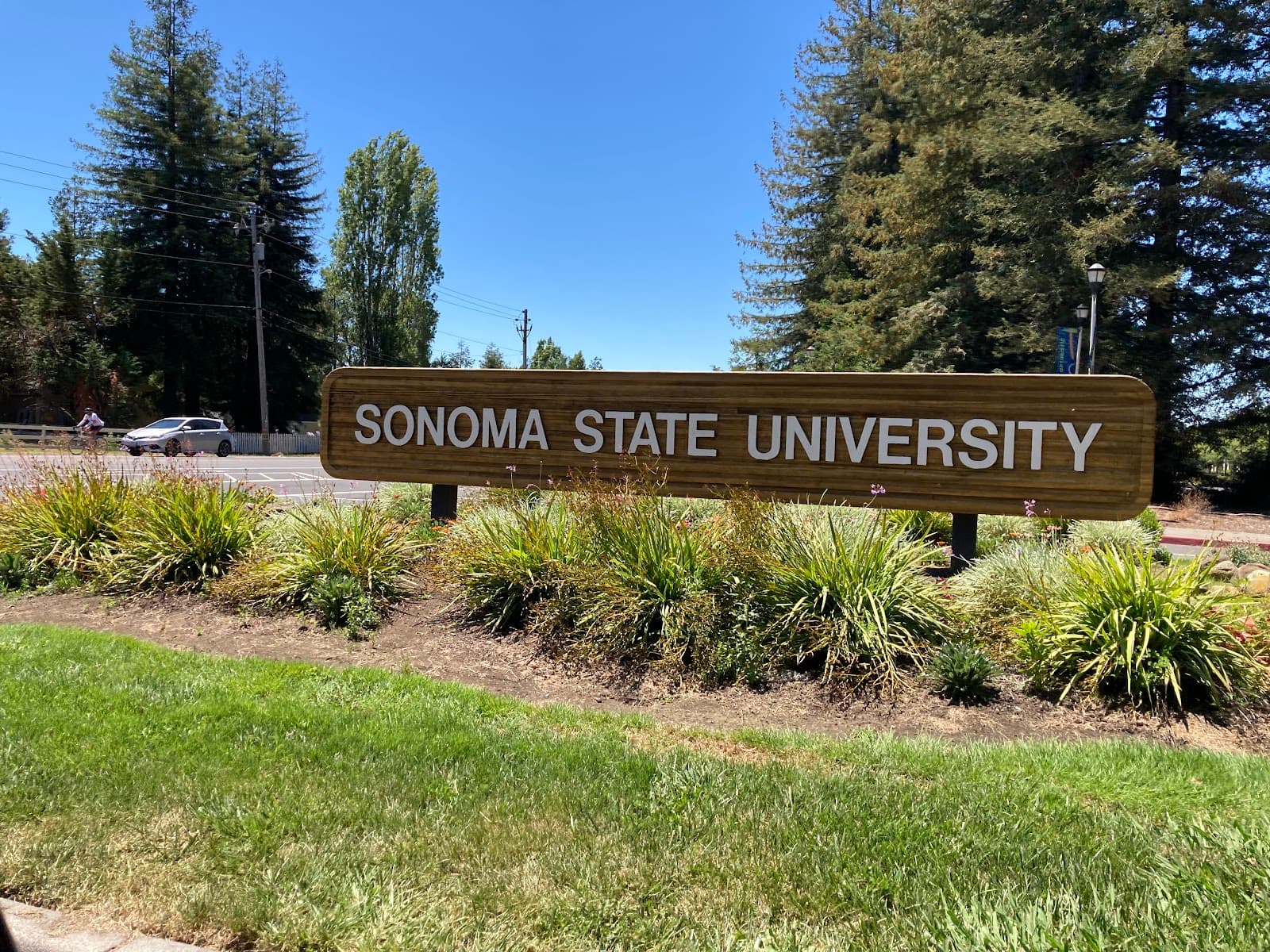 Sonoma State University - Image 1