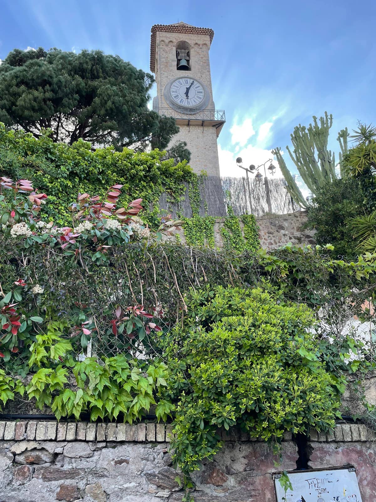 Vertical photo