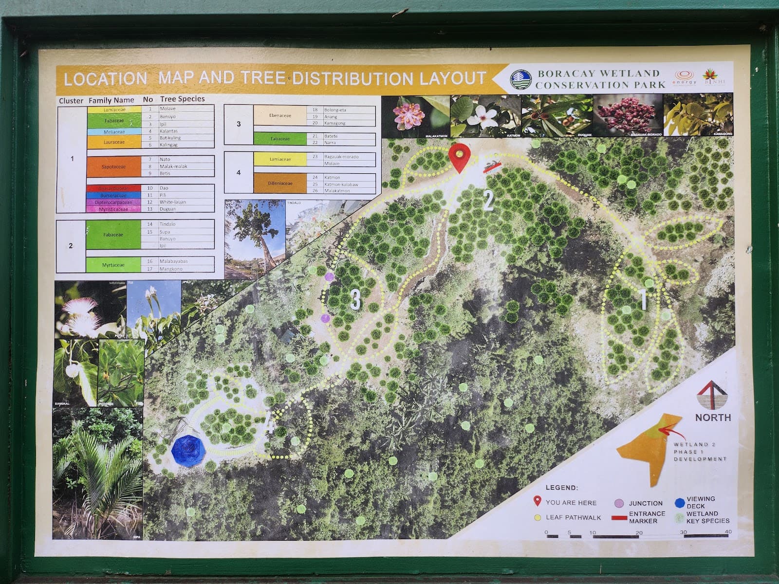 Boracay Wetland Park Wetland 4 - Image 1