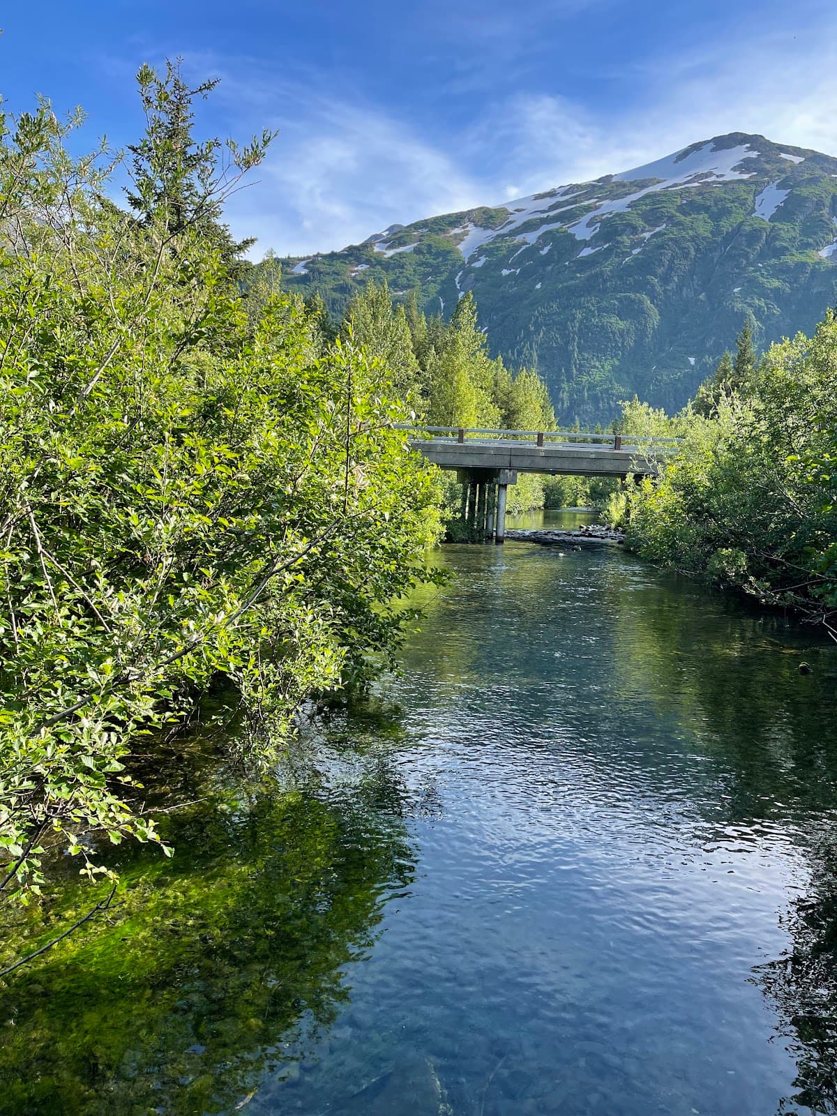 Williwaw Nature Trail and Salmon Viewing - Image 1