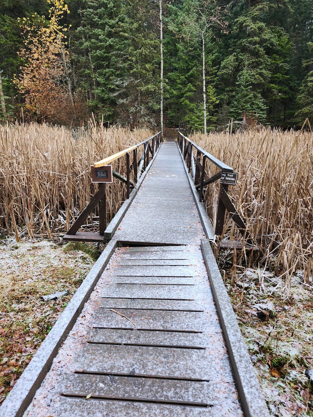 Vertical photo