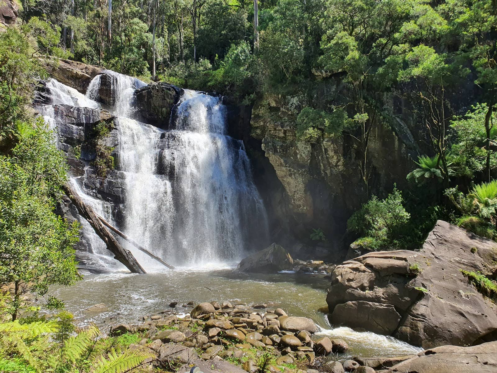 Accessible Boardwalks