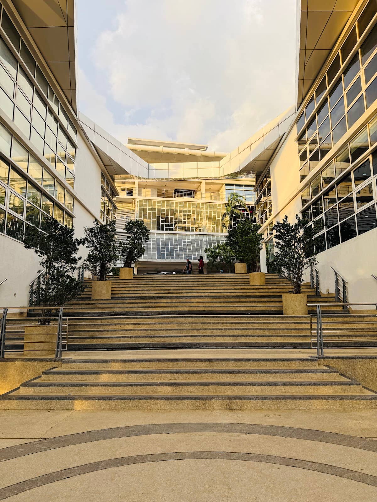 E-bike and Scooter Rentals