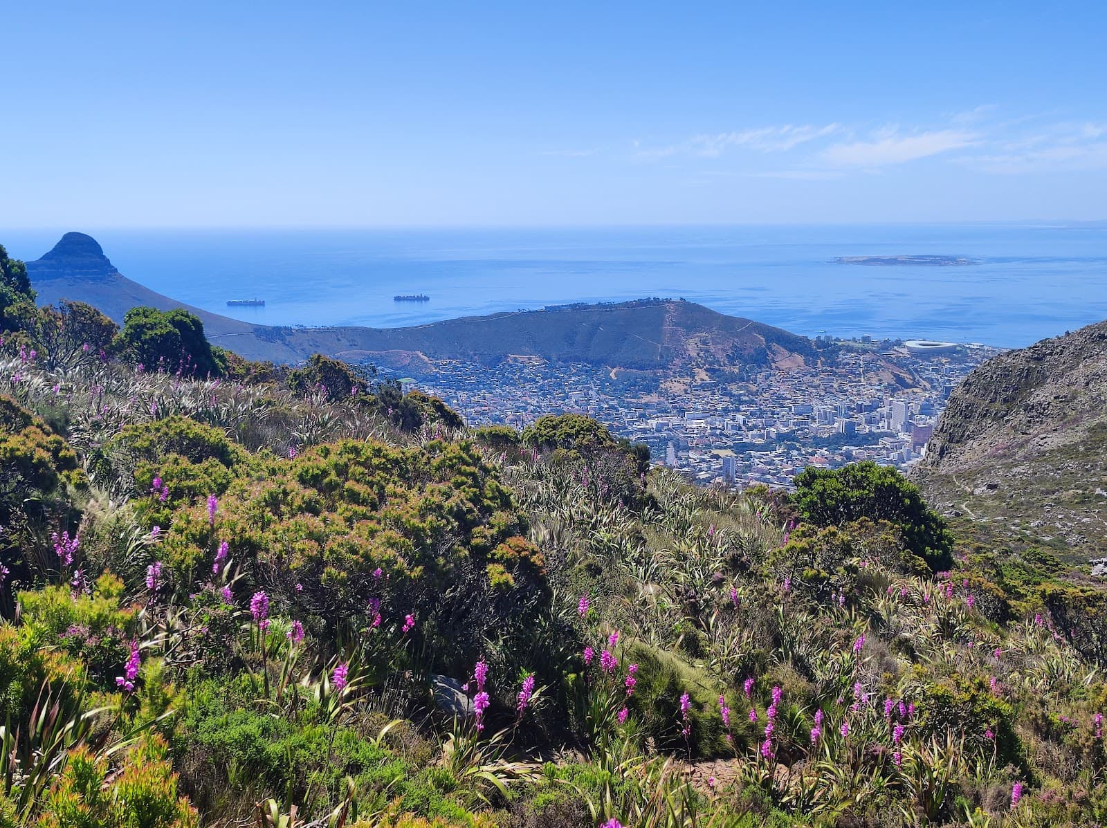 Newlands Ravine Trail - Image 1