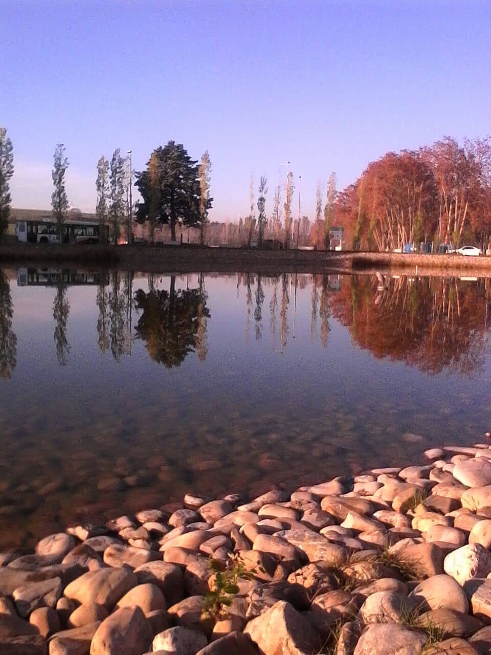 Vertical photo