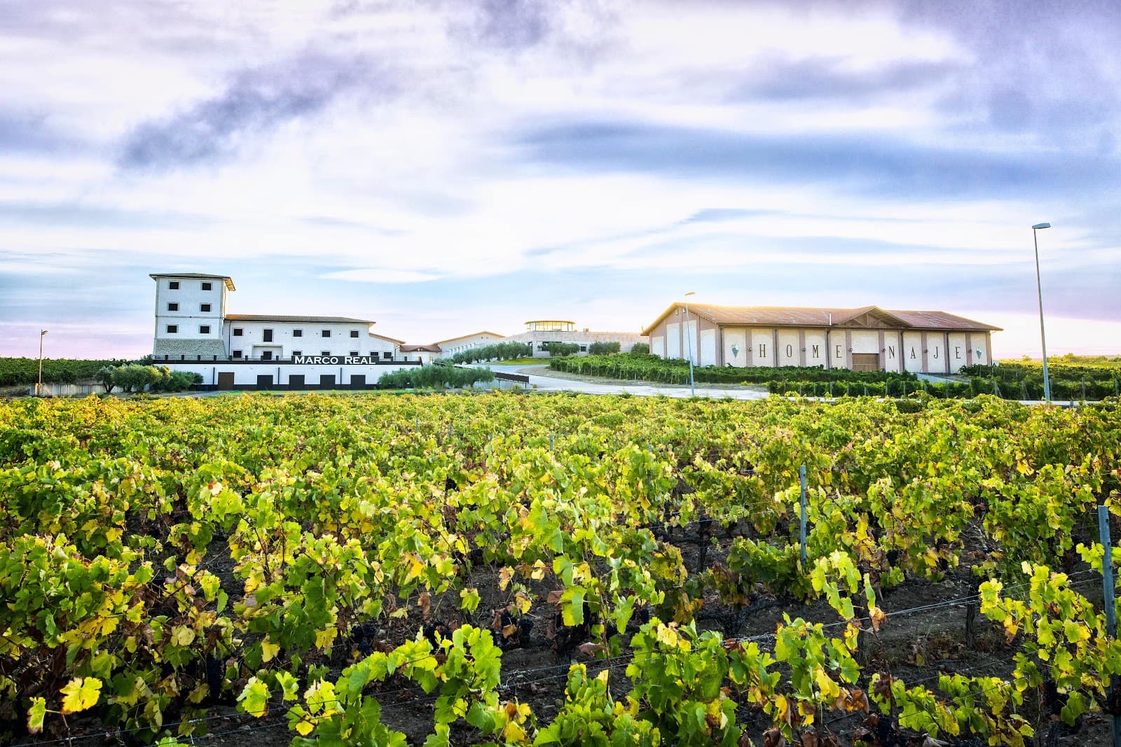 Bodegas Marco Real - Image 1