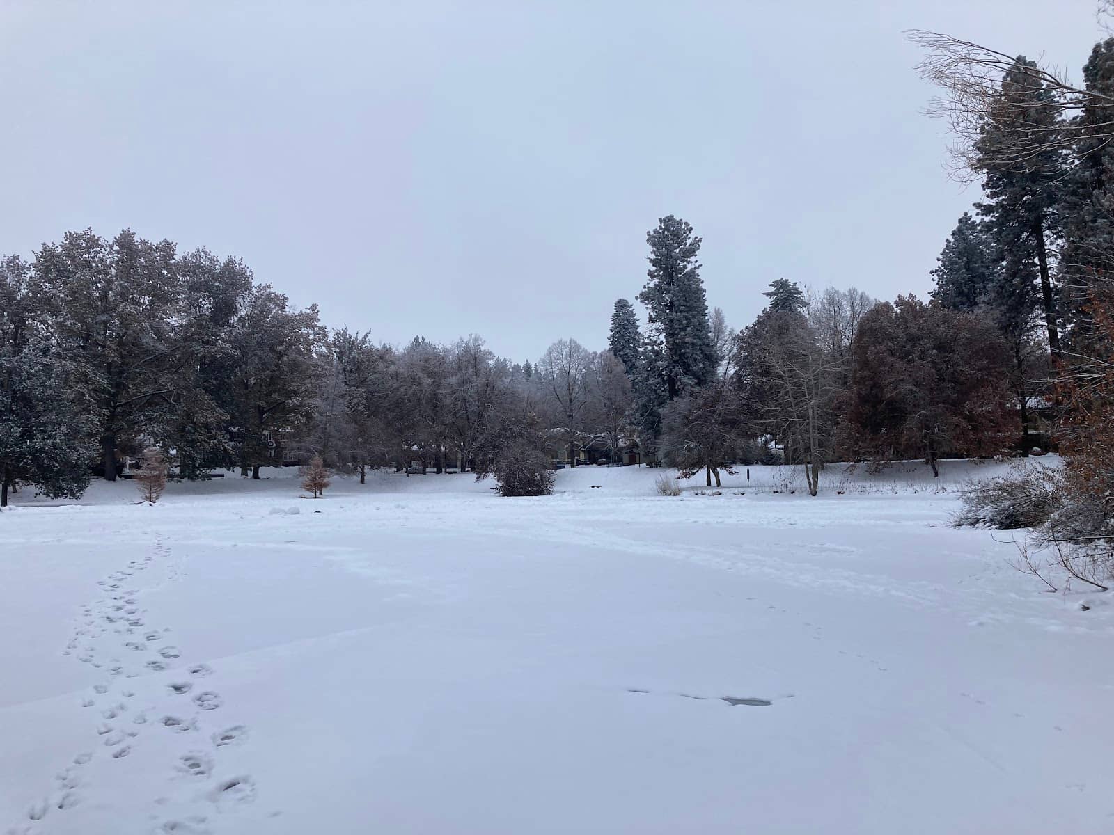 Midlands Arts Centre (MAC)