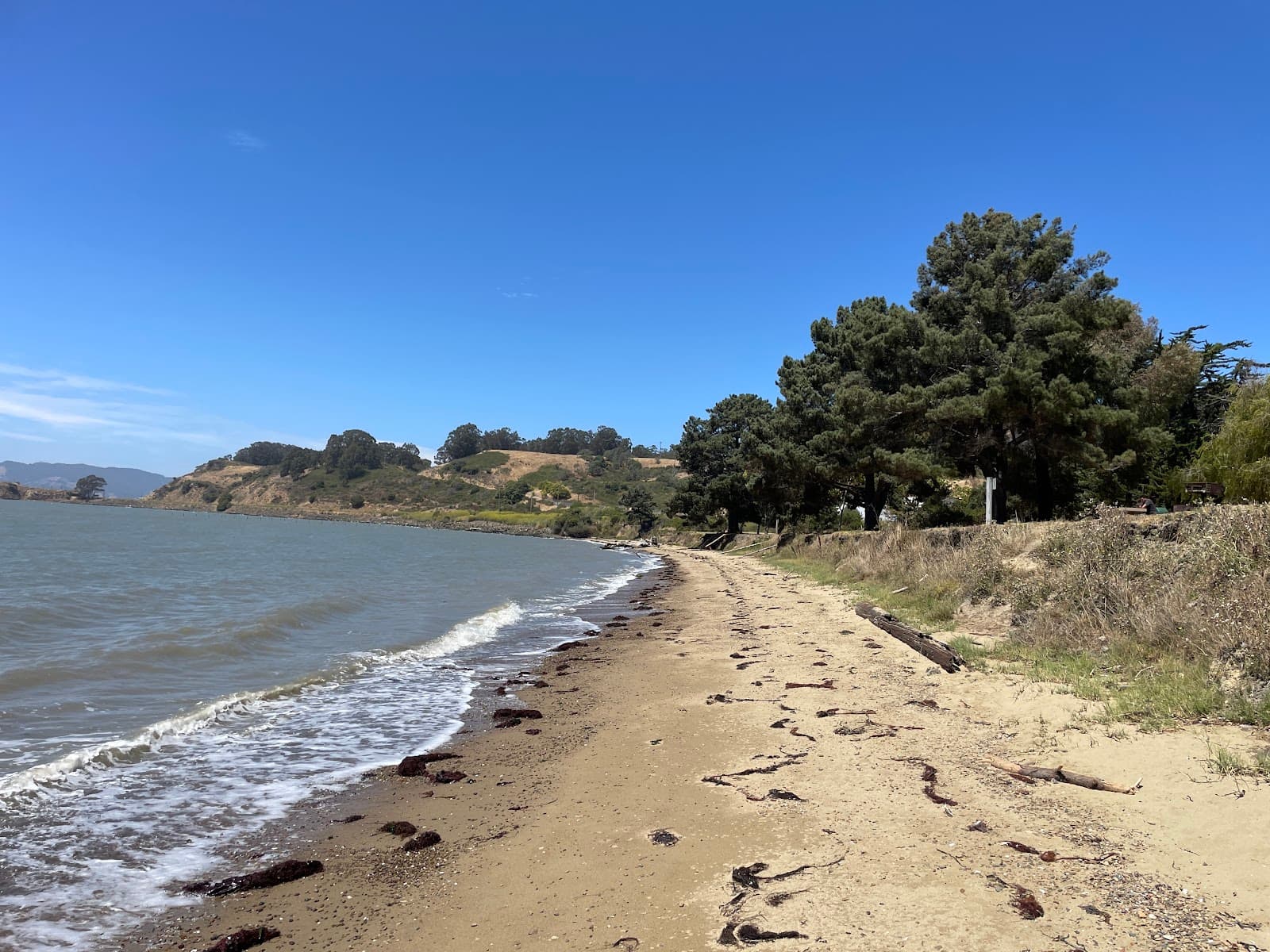 Point Molate Beach Park - Image 1