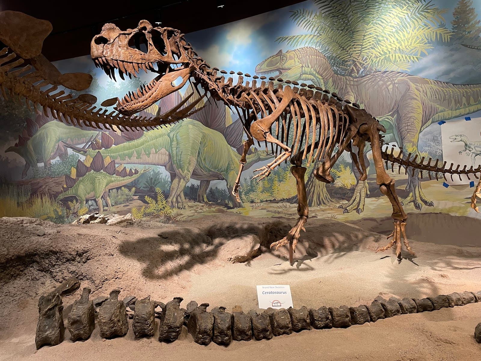 Utah Field House Museum Vernal - Image 1