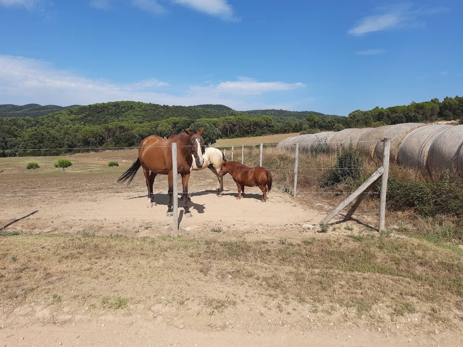 Diverse Hiking and Cycling Trails