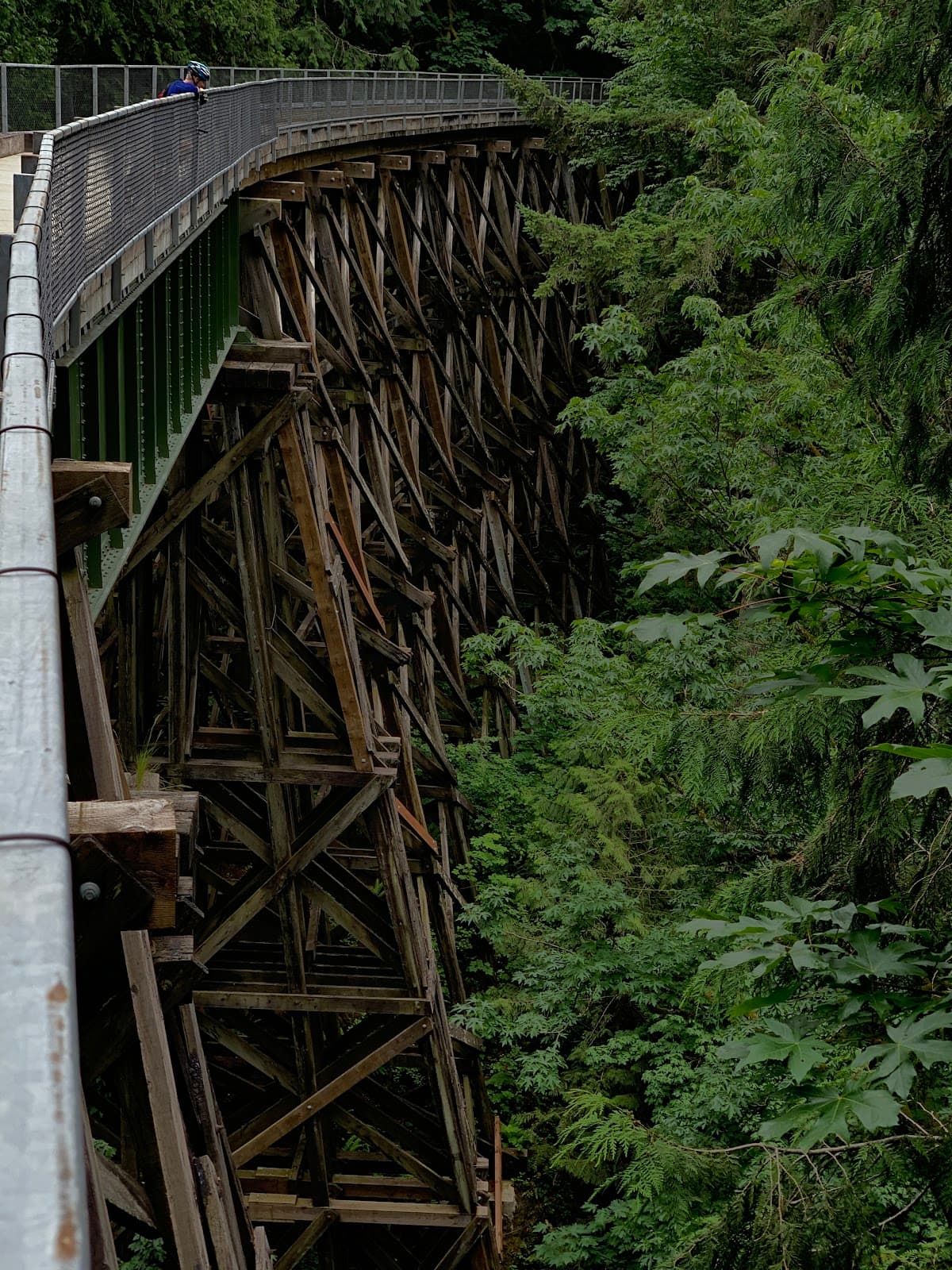 Tokul Trestle - Image 1