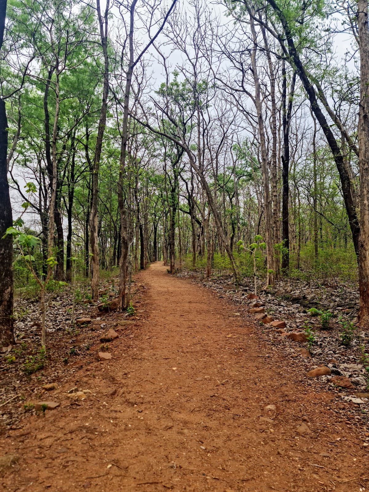 Seminary Hills - Image 1