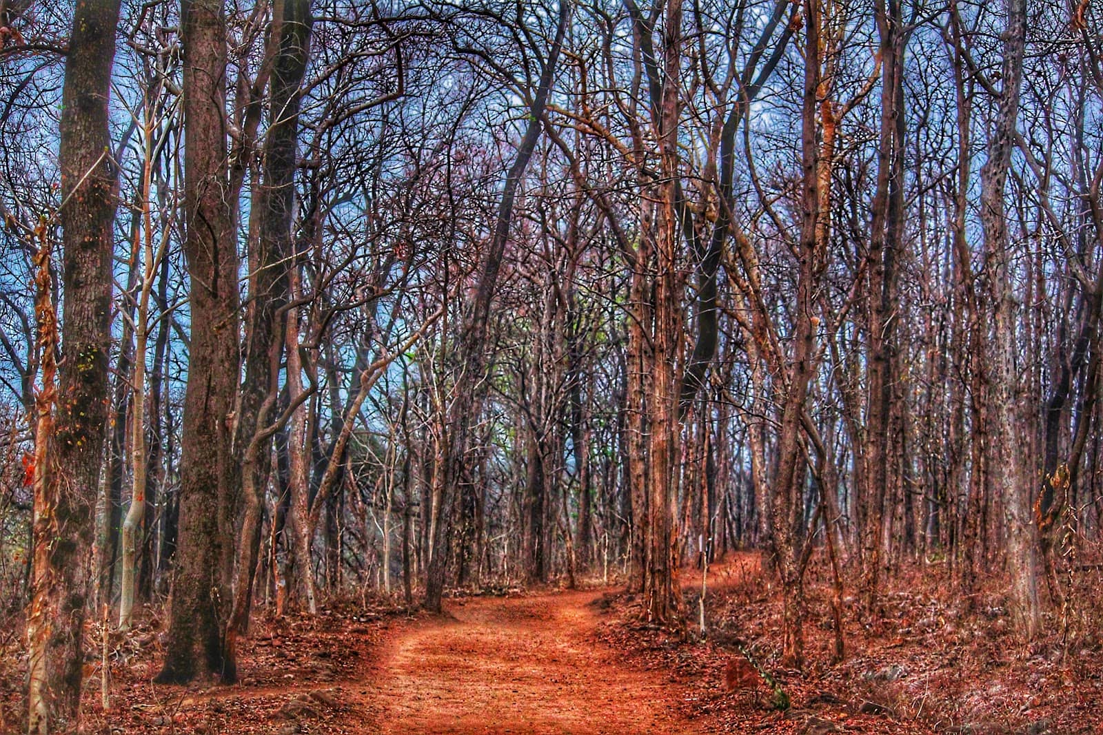 Vertical photo
