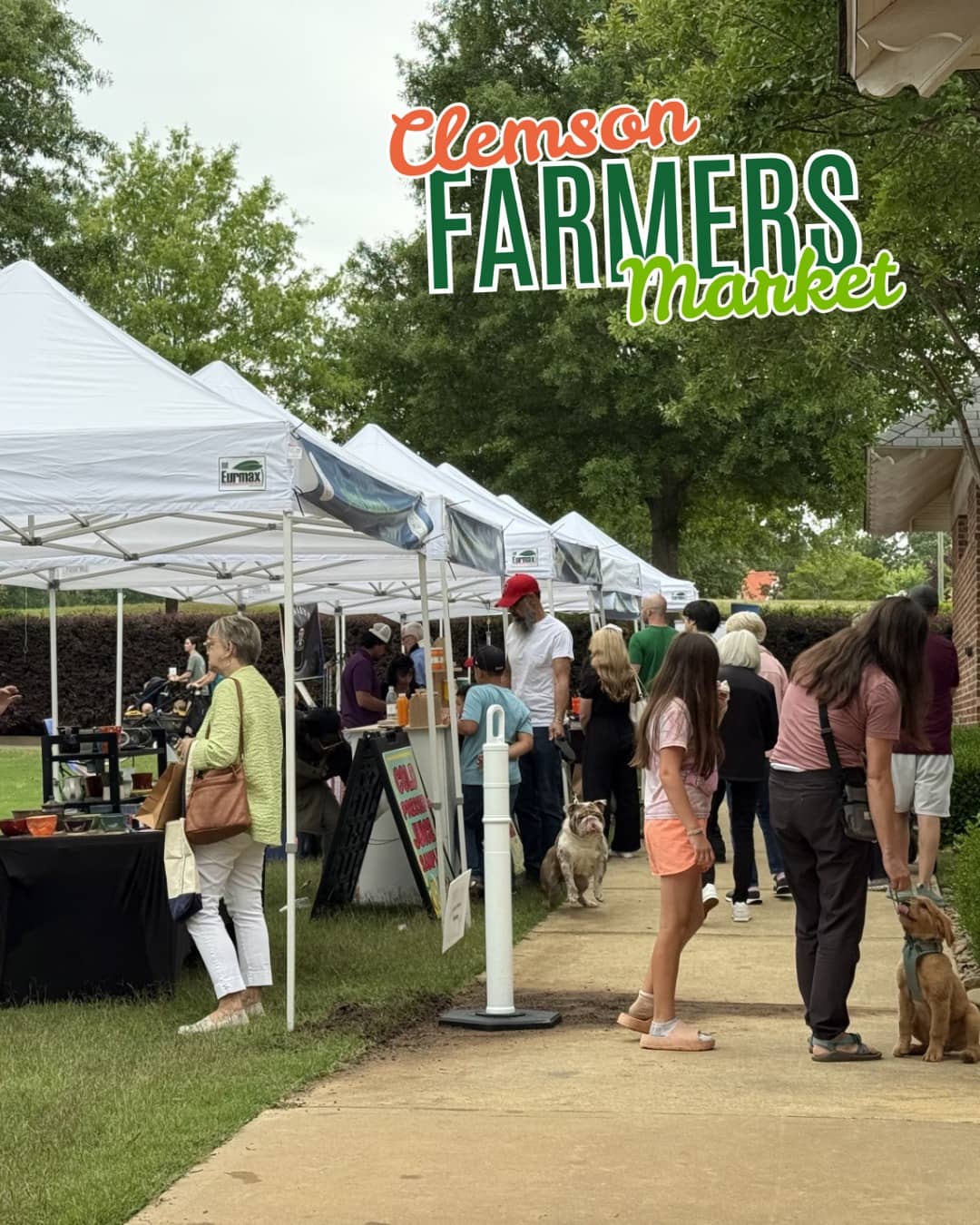Unique Food Vendors
