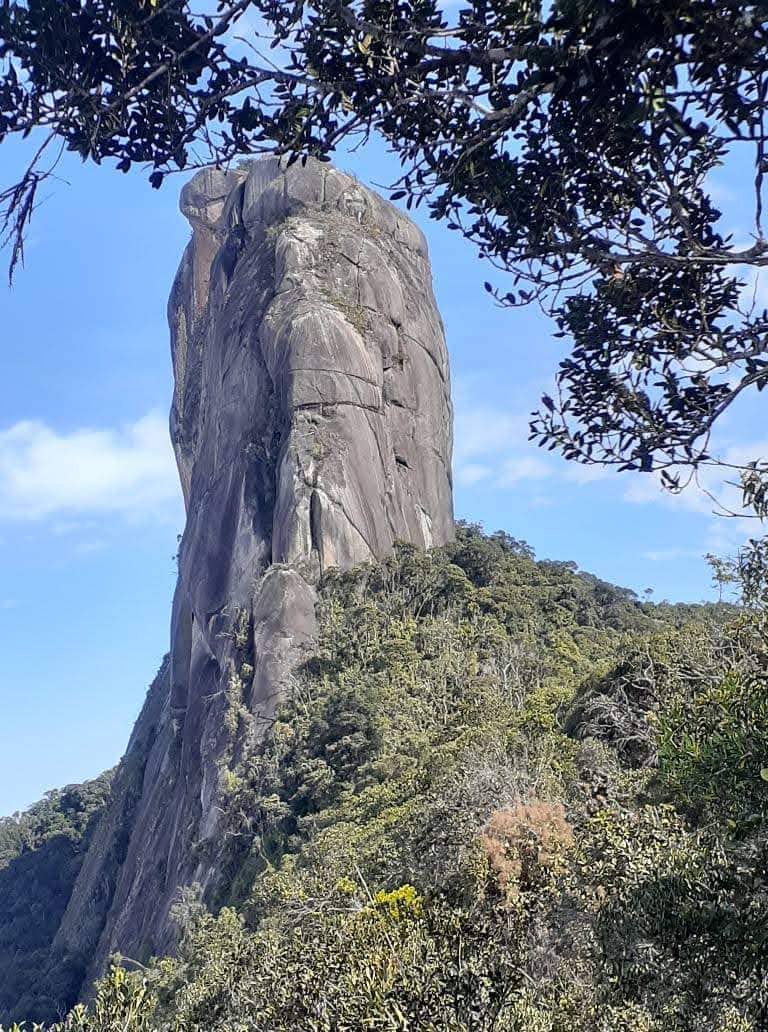 Mata Atlântica Ecosystem