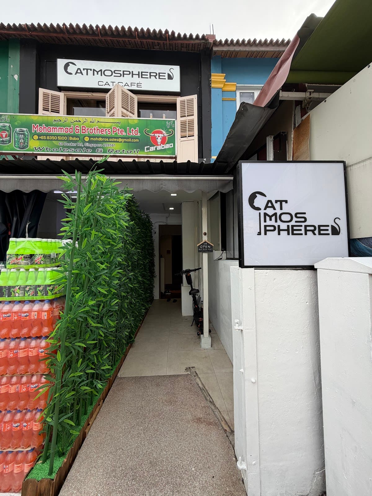 Catmosphere Cafe - Image 1