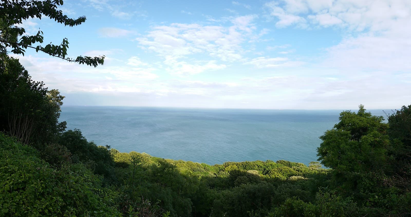 Bonchurch Landslip - Image 1