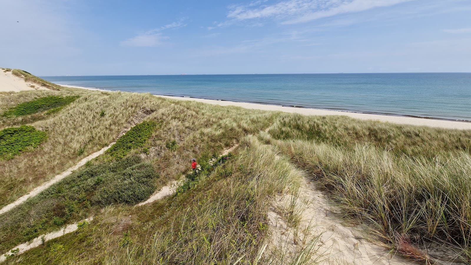 Bunken Klitplantage - Image 1