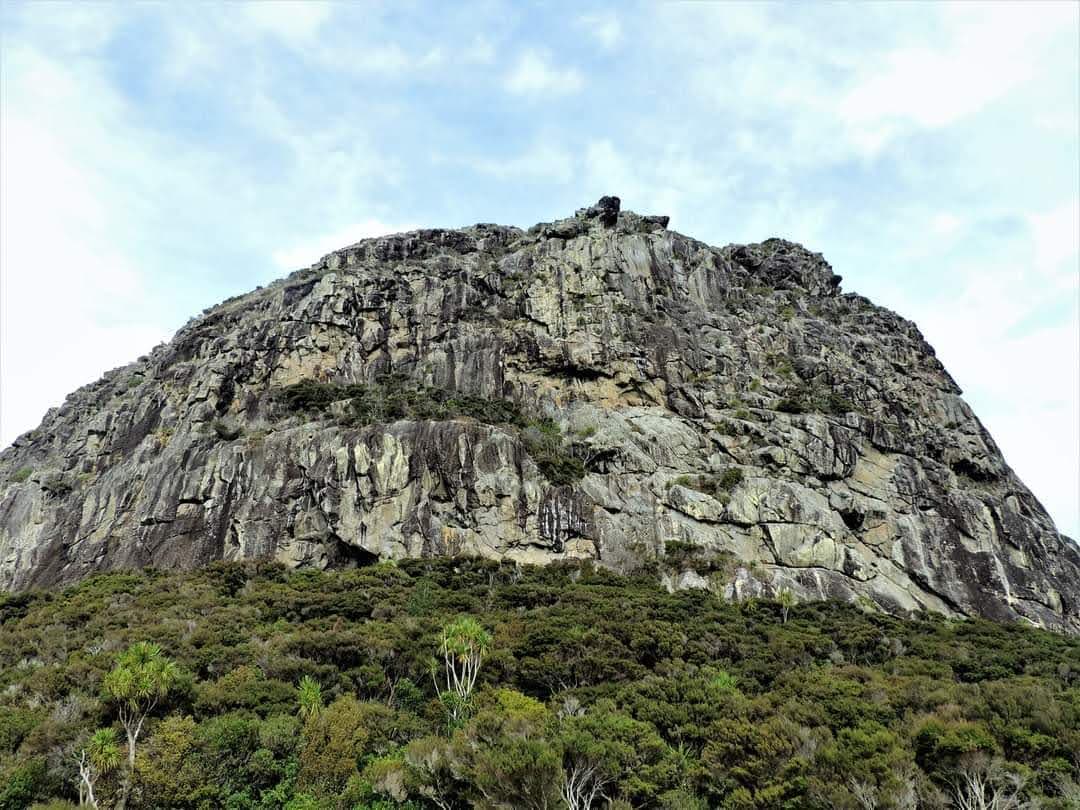 Maungaraho Rock - Image 1
