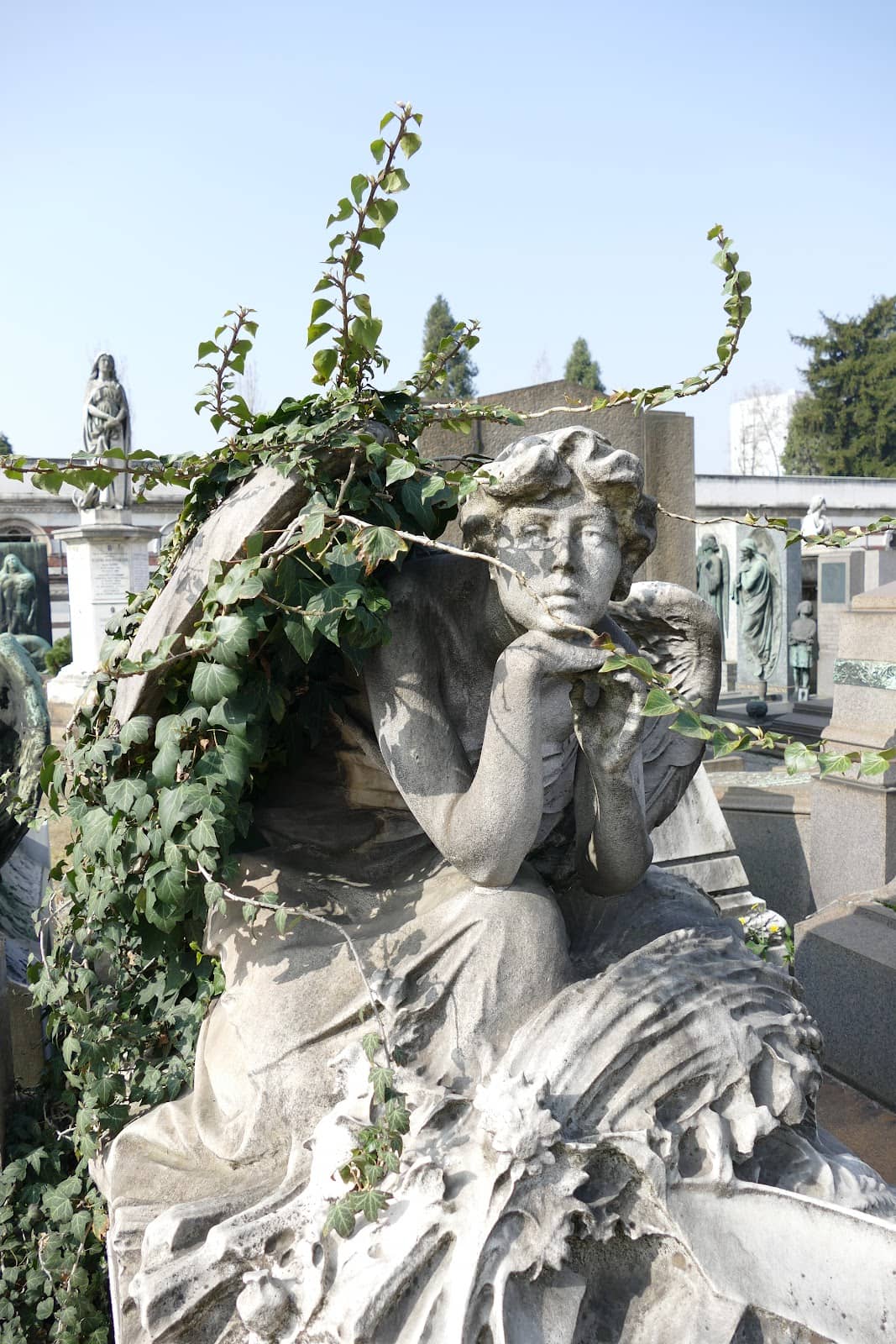 Vertical photo