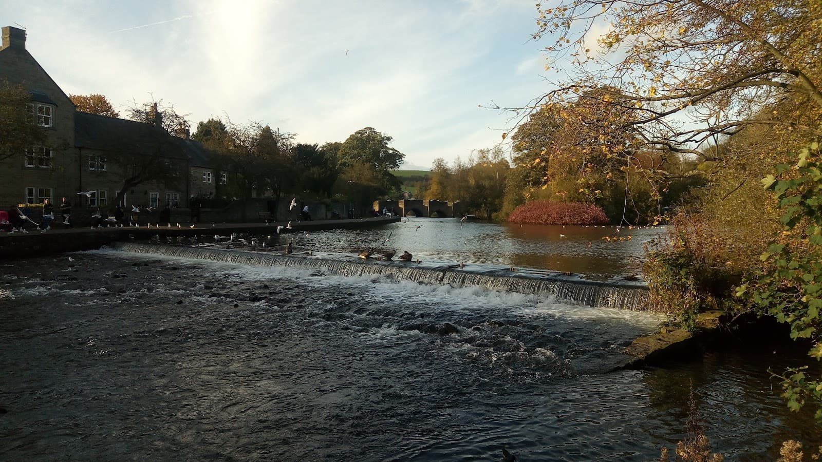 Bakewell Showground - Image 1