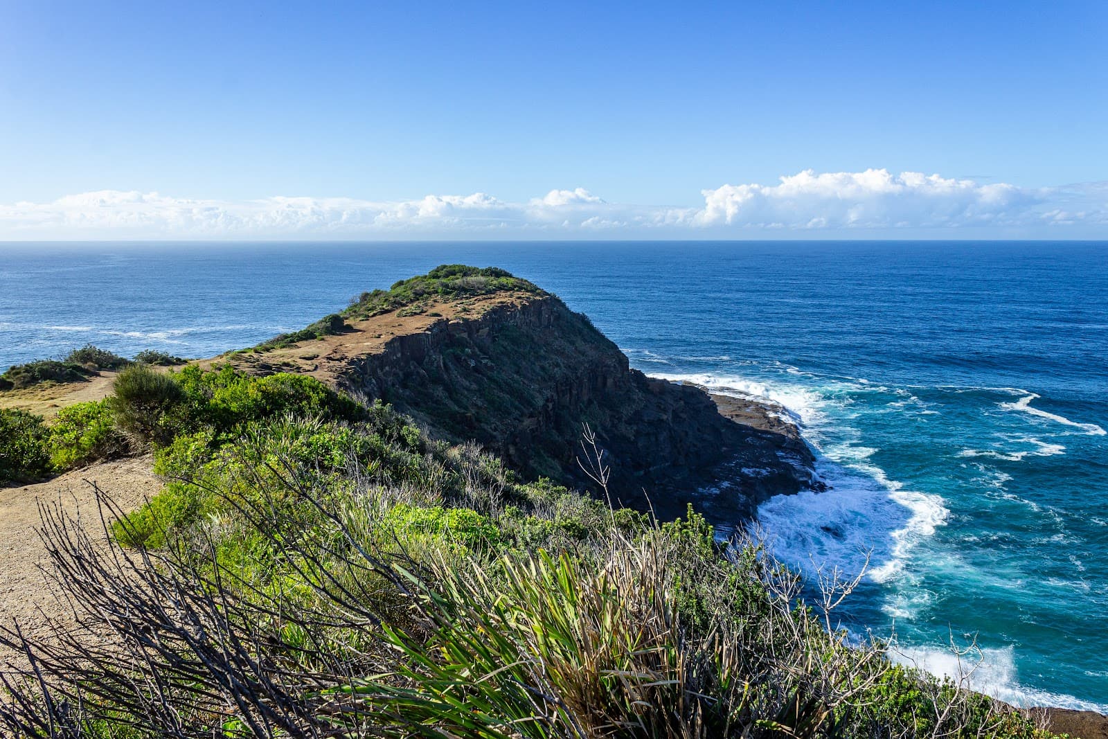 Wyrrabalong National Park - Image 1