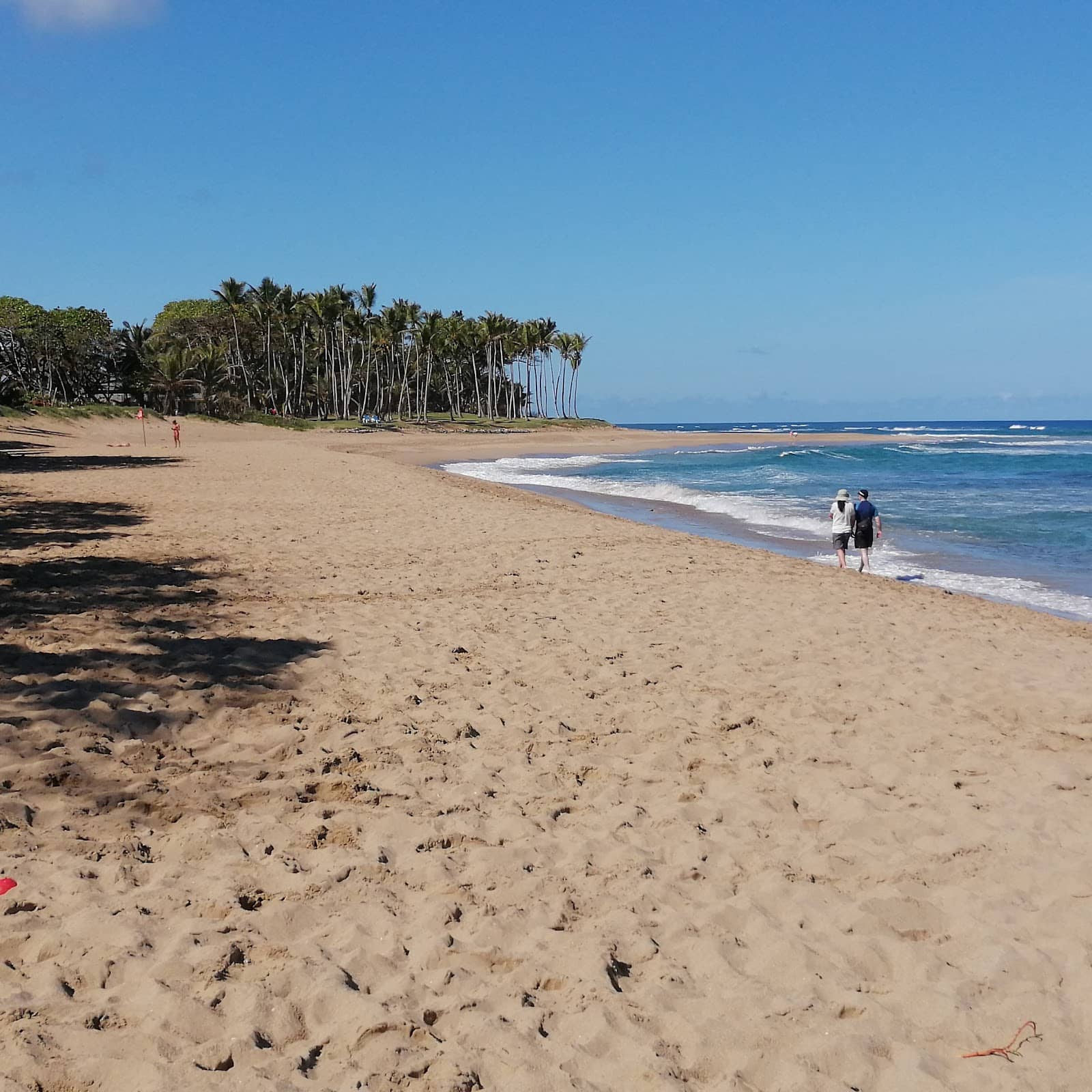 Secluded Natural Beauty