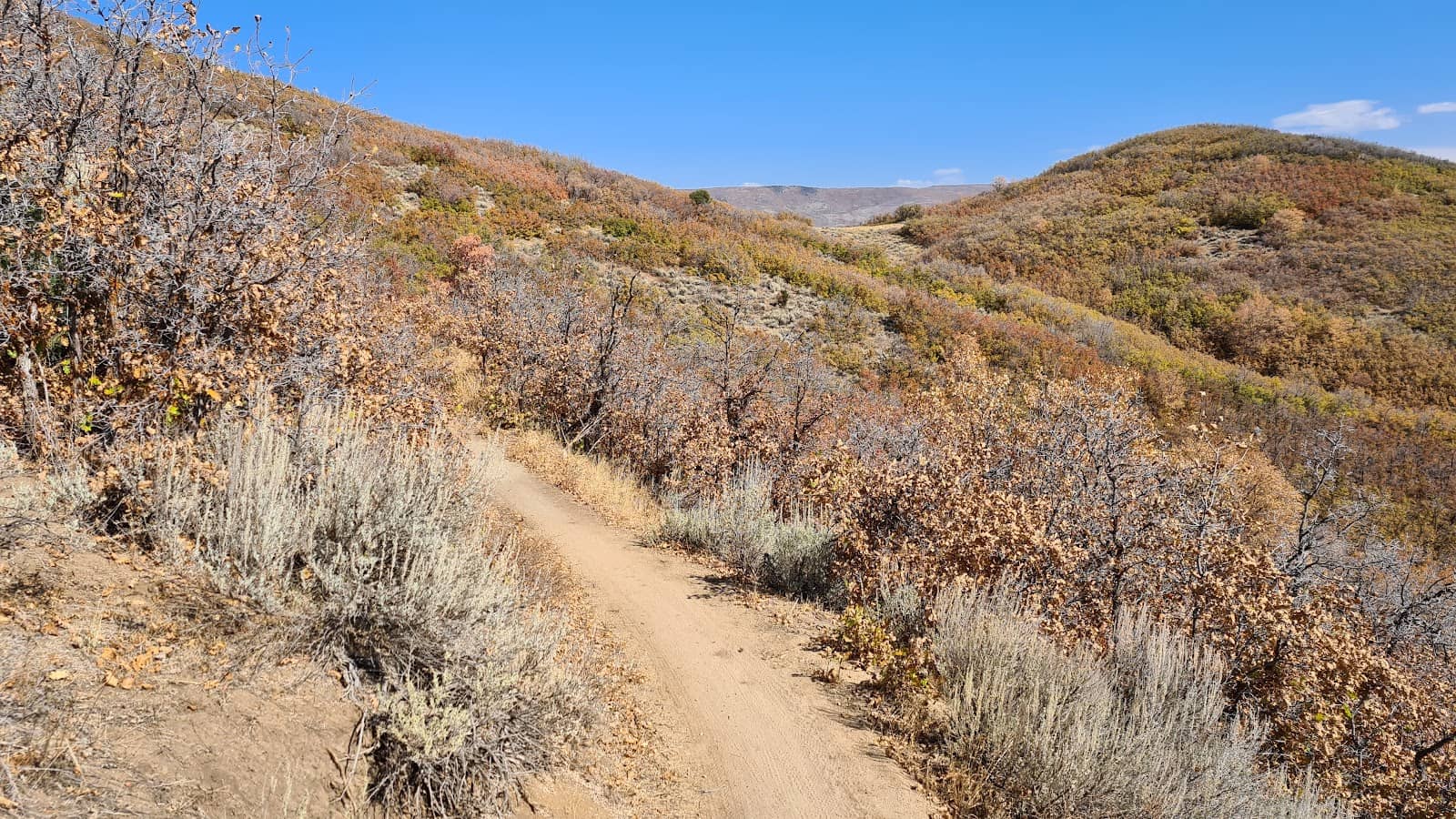 Dutchman Way & Dutch Hollow Loop