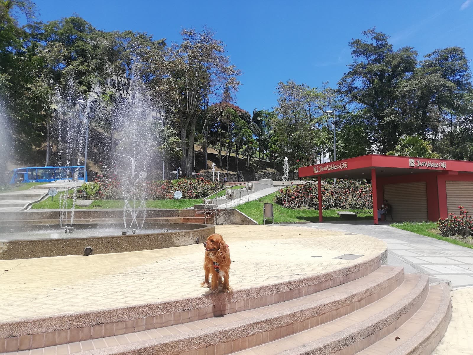 Parque Olaya Herrera - Image 1