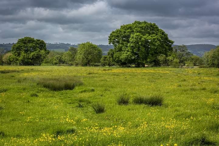 The Meads Eco Park - Image 1