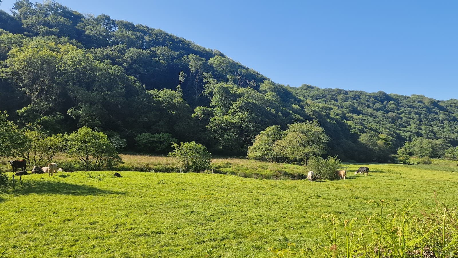 Gwaun Valley - Image 1