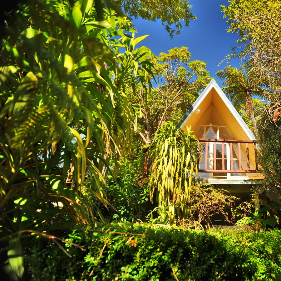 Punga Cove - Image 1