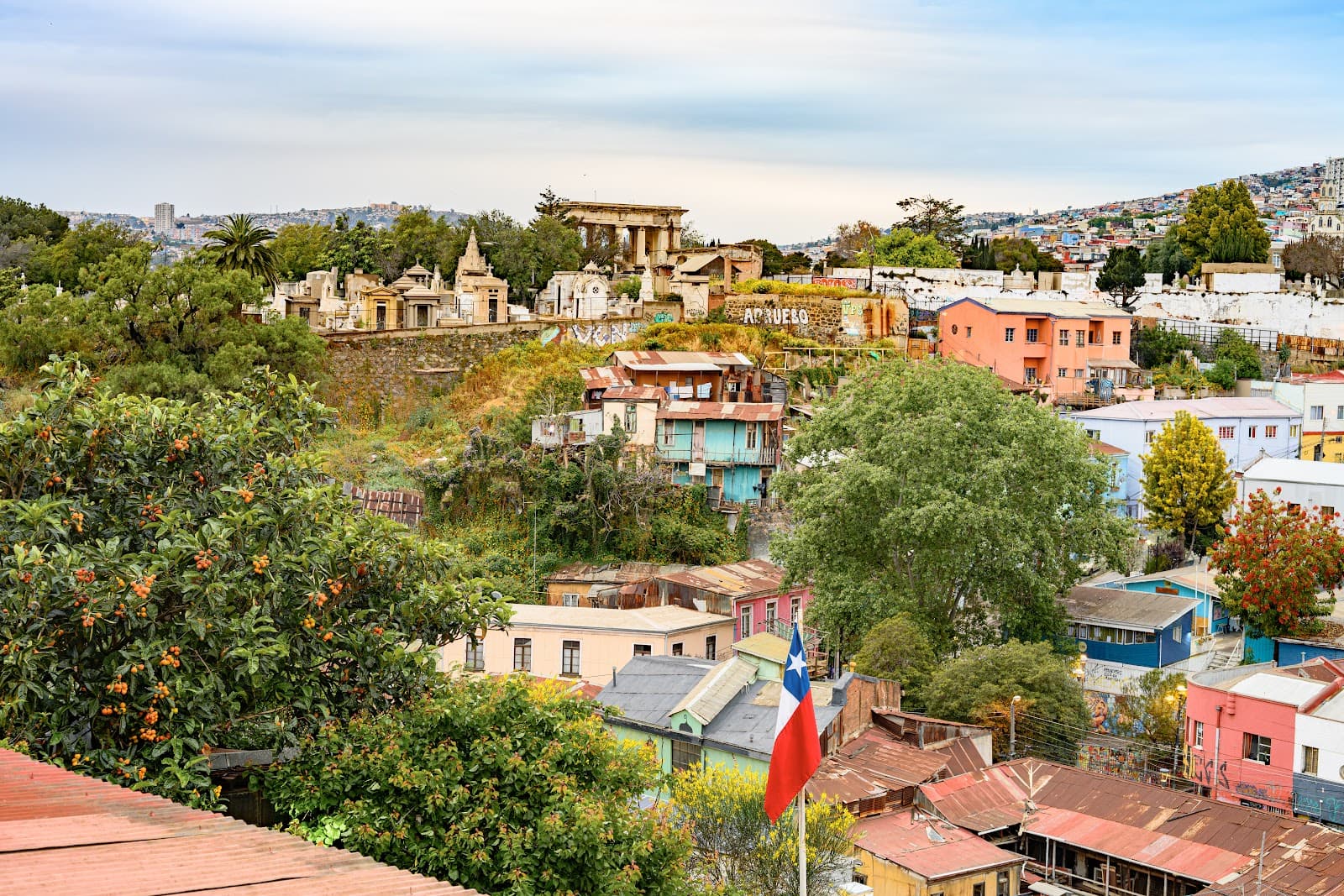 Cerro Cordillera - Image 1
