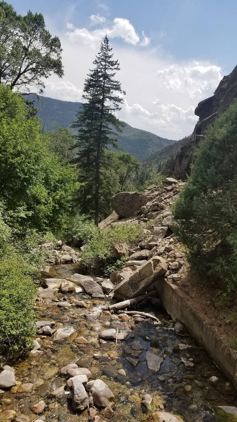 Abundant Butterflies