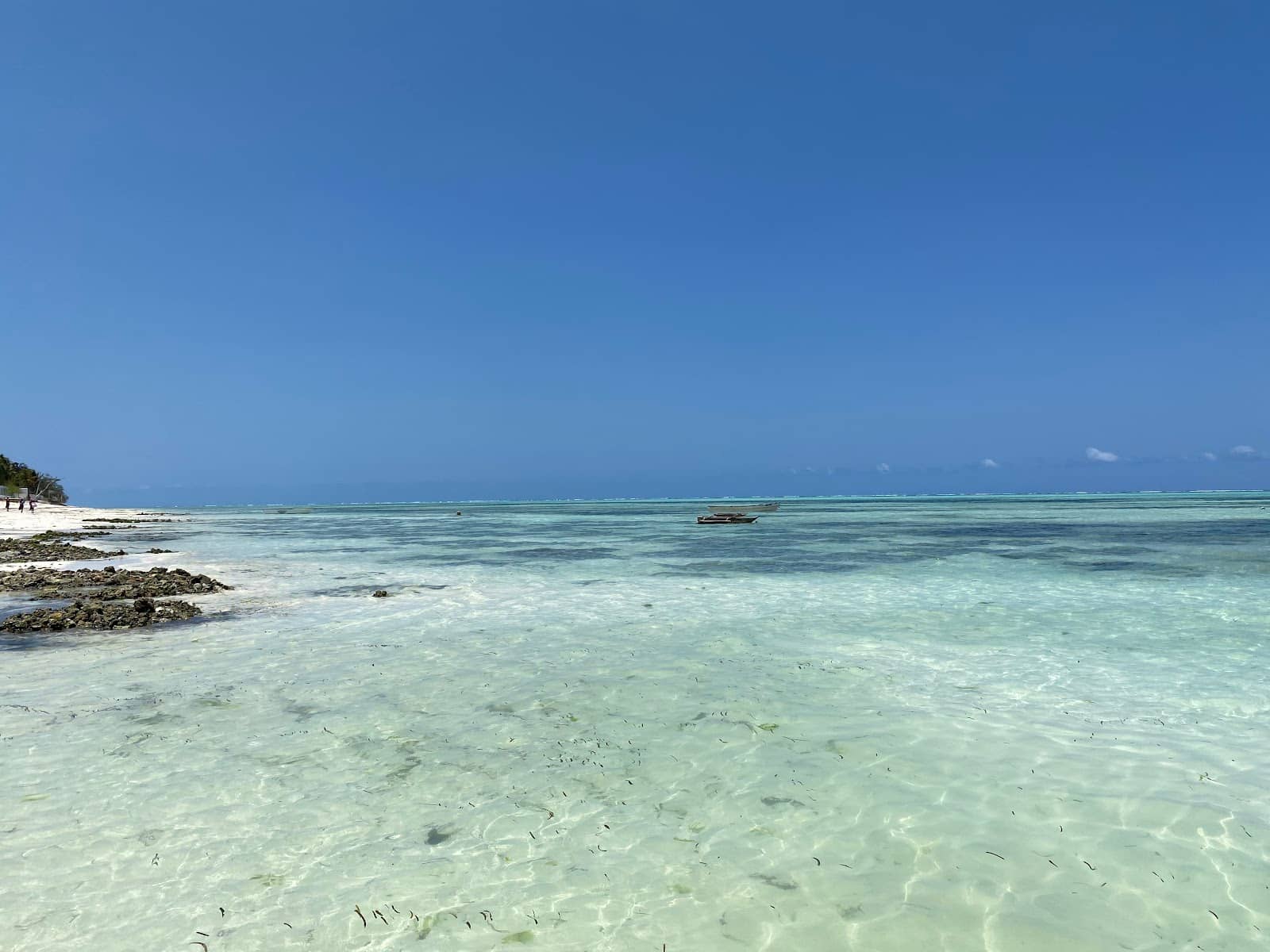 Sea Urchin-Free Waters