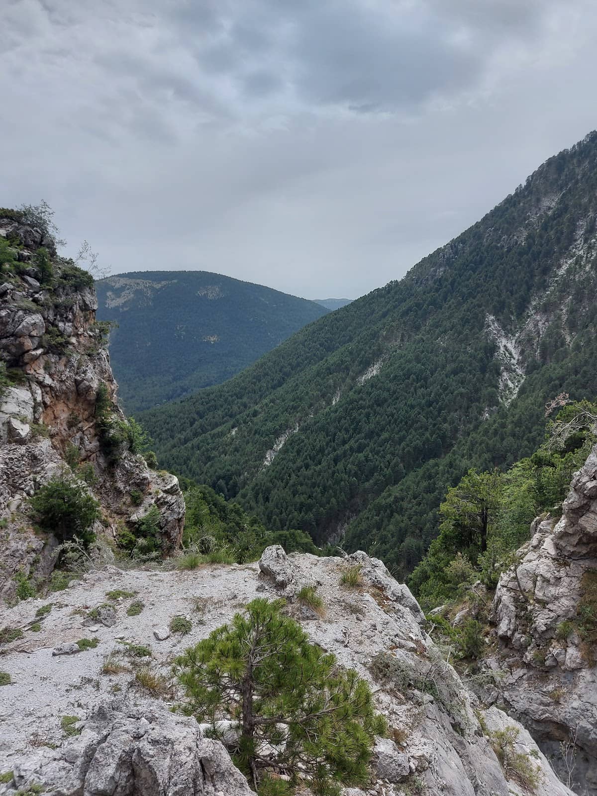 Rocky Ascent with a View