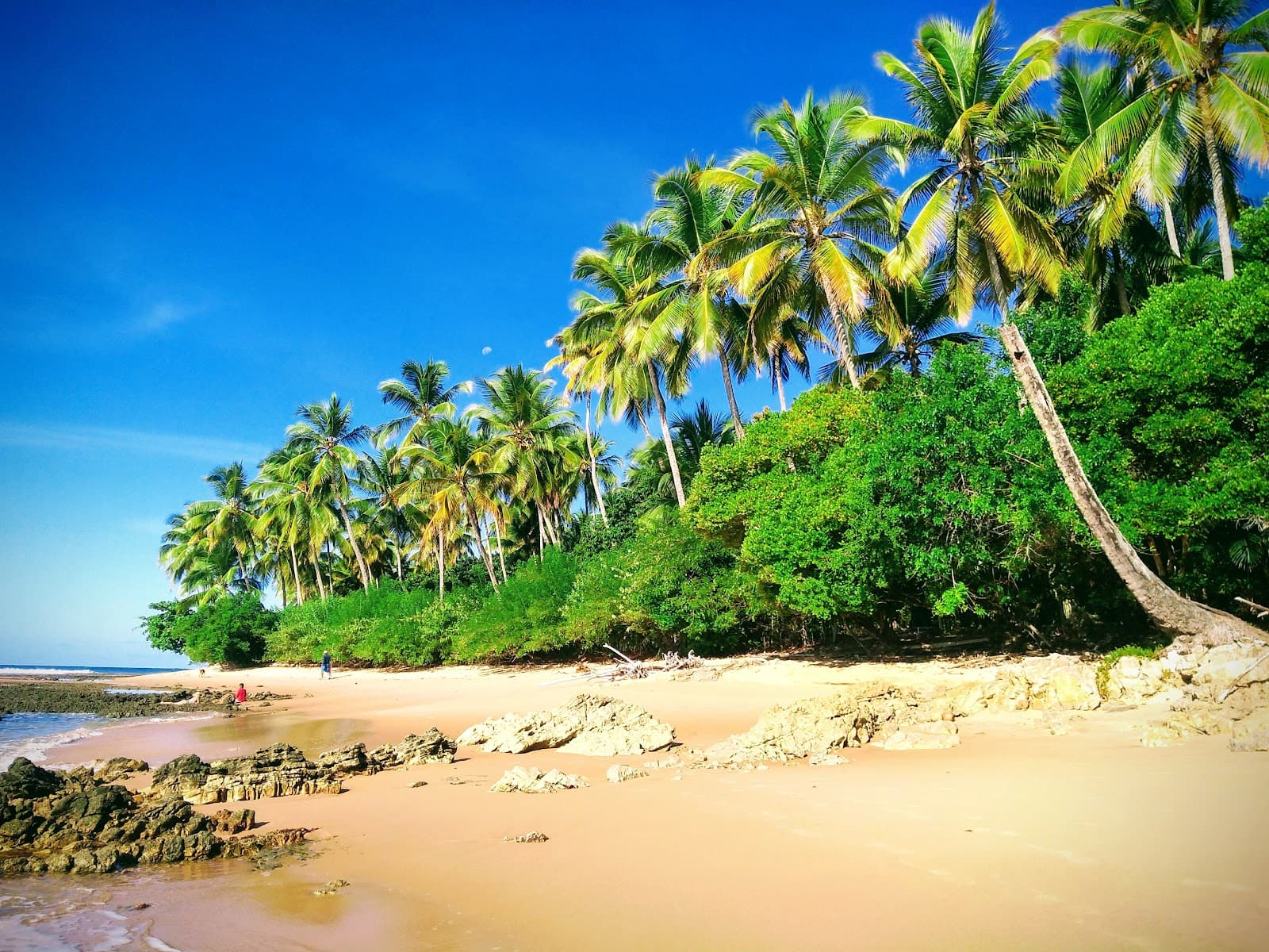 Ponta do Mutá - Image 1