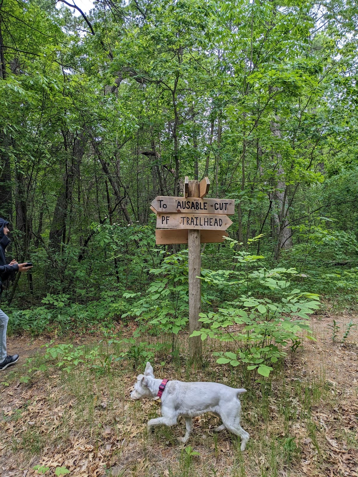 Karner Blue Sanctuary - Image 1