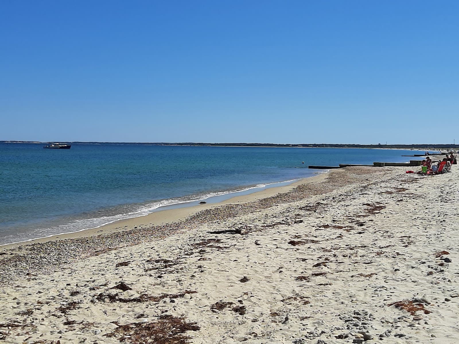 Joseph Sylvia State Beach - Image 1