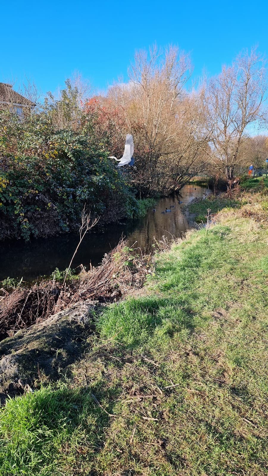 North Town Moor - Image 1