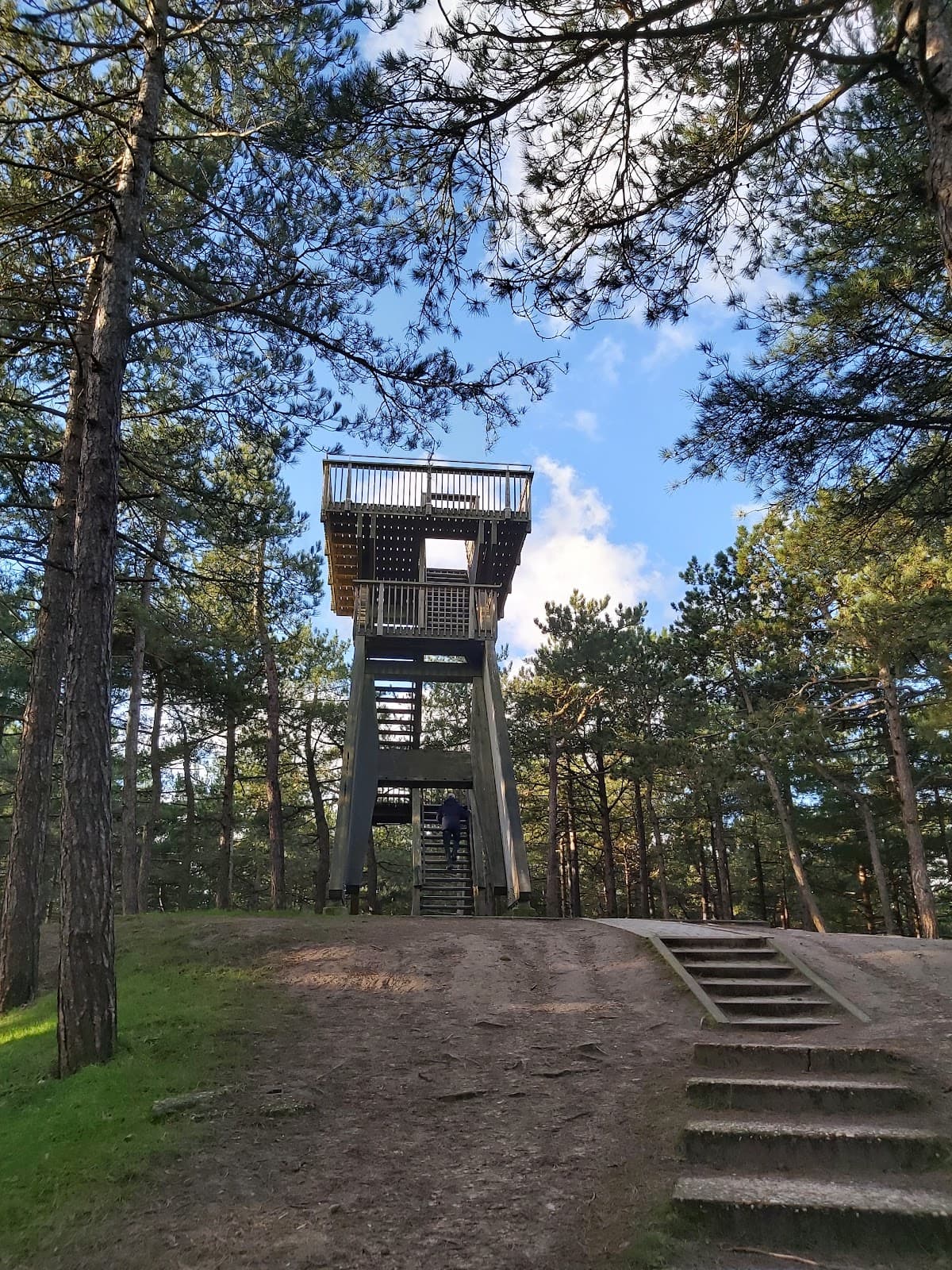 Fonteinsnol Lookout Tower - Image 1