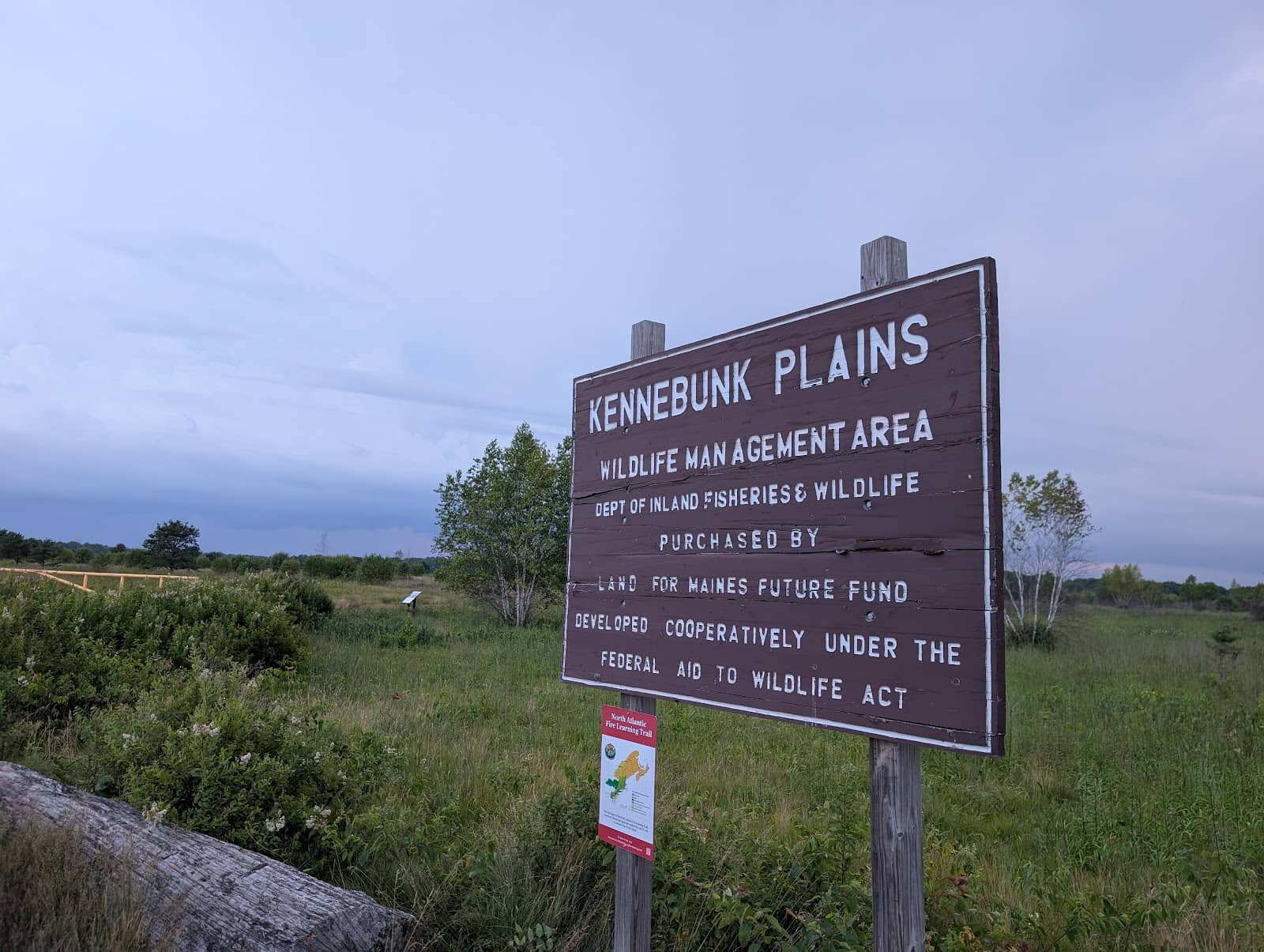 Peaceful Woodland Trails