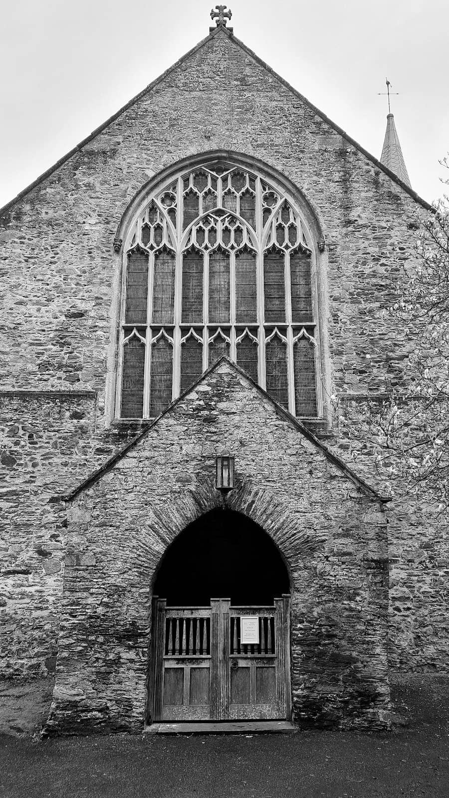Vertical photo