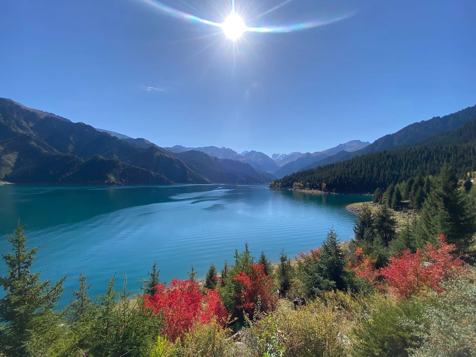 Equestrian Acrobatics