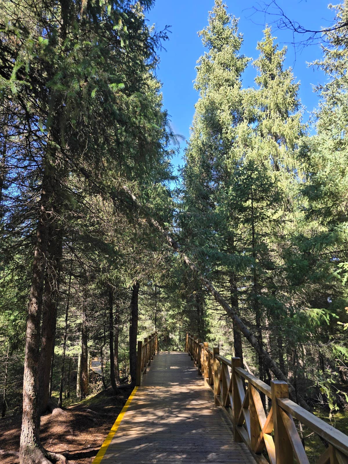 Vertical photo